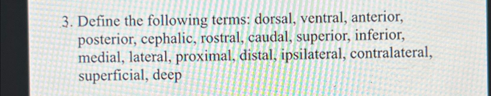Solved Define the following terms: dorsal, ventral, | Chegg.com