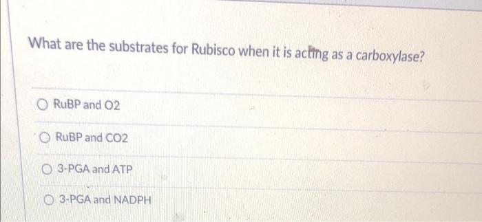 Solved What are the substrates for Rubisco when it is acting | Chegg.com