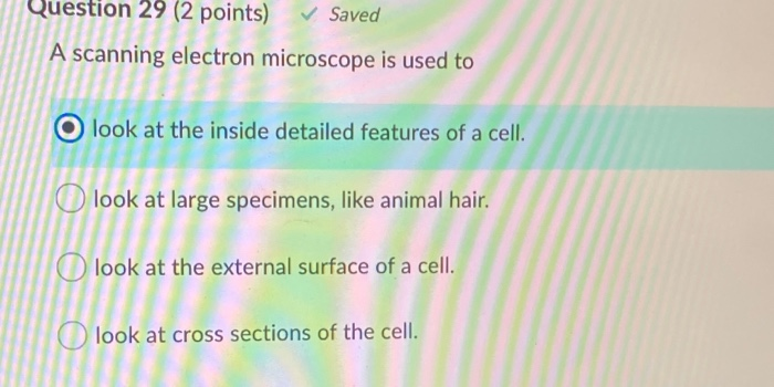 Solved Question 29 (2 points) Saved A scanning electron | Chegg.com