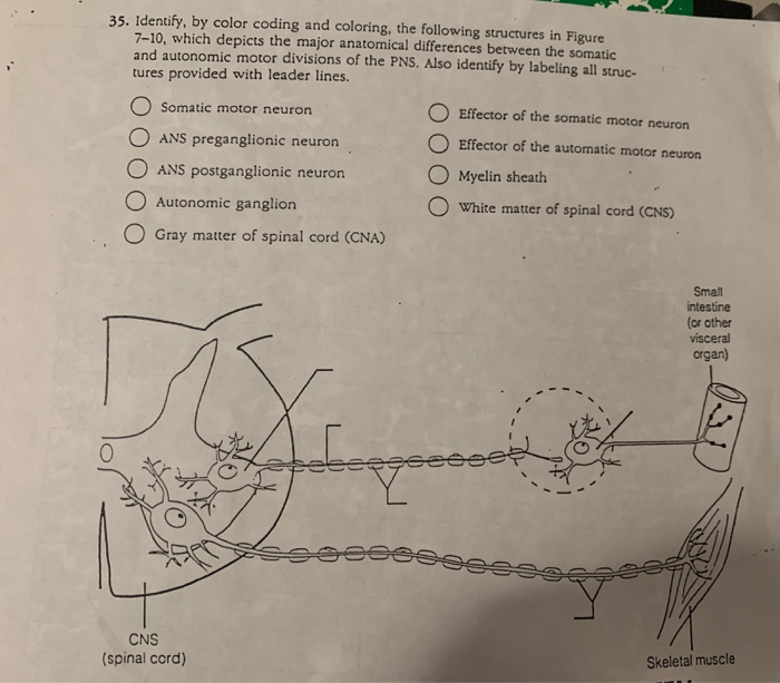 color-coding-coloring-pages