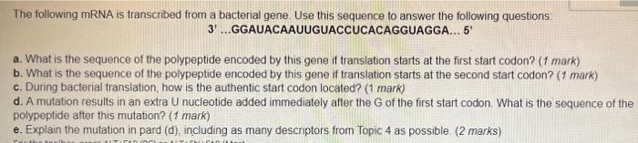 Solved The following mRNA is transcribed from a bacterial | Chegg.com