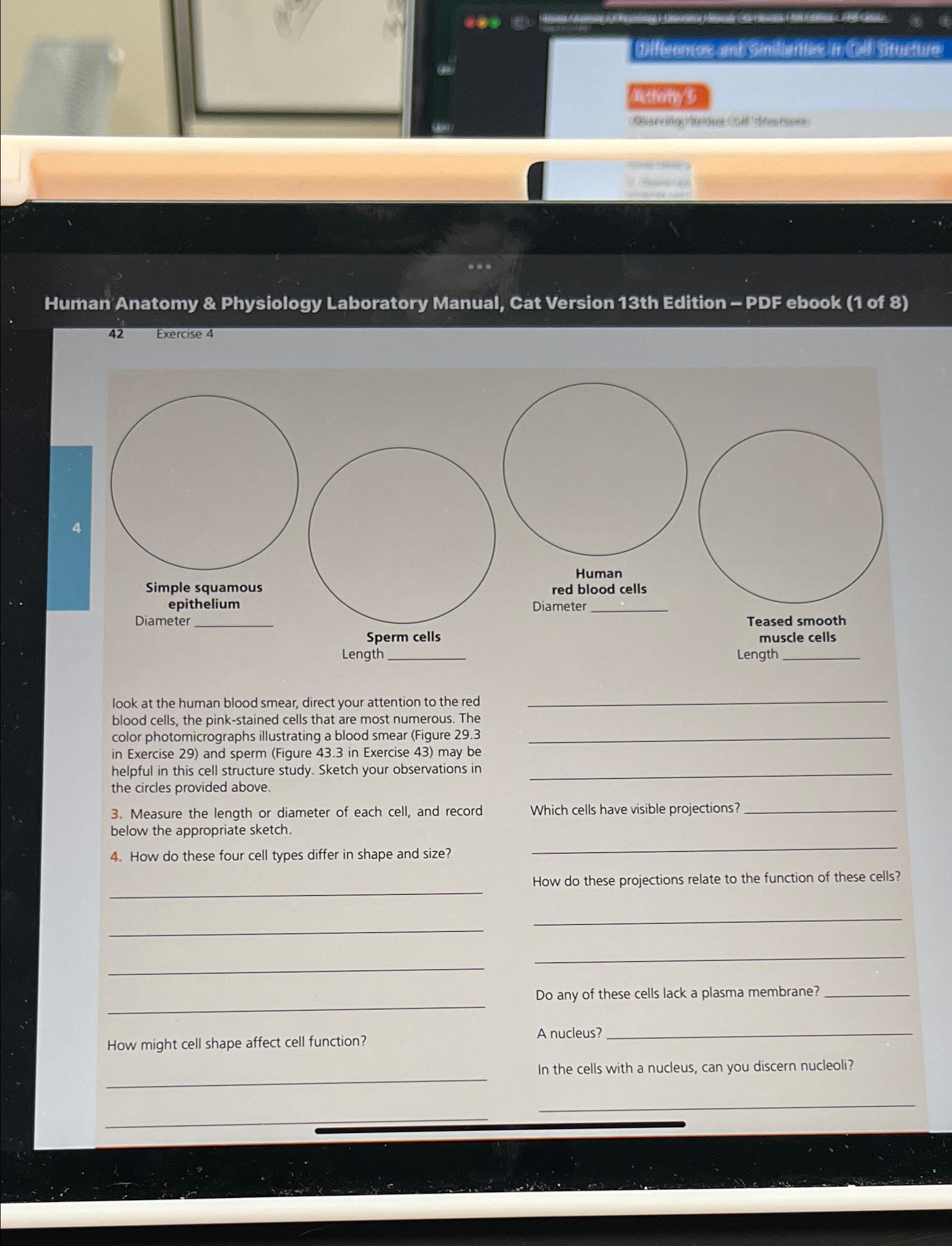 Solved Human Anatomy & Physiology Laboratory Manual, Cat