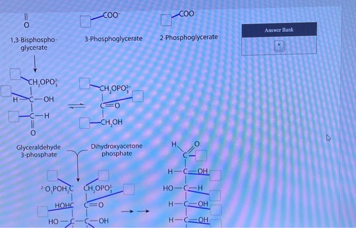 An investigator briefly incubates a liver extract | Chegg.com