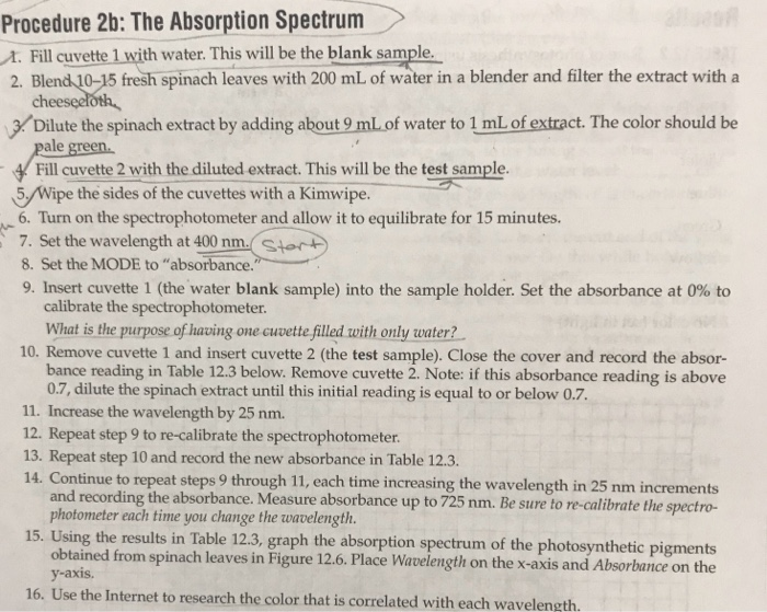 Solved Answer the Discussion part of the Photosynthesis Lab