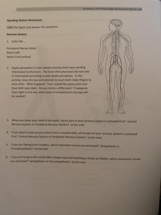 input-devices-worksheet-4