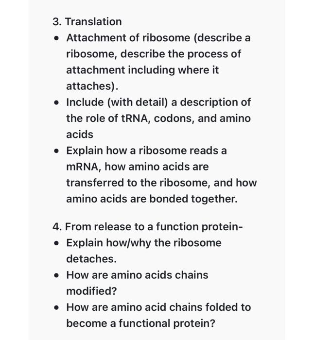 - Include (with detail) a description of the role of tRNA, codons, and amino acids
- Explain how a ribosome reads a mRNA, how