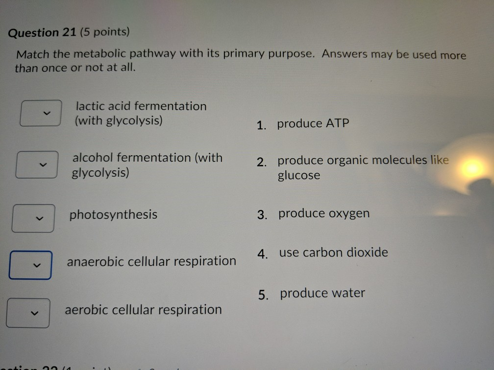 Solved Question 21 (5 points) Match the metabolic pathway | Chegg.com