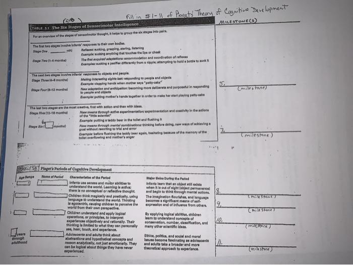 six stages of sensorimotor intelligence