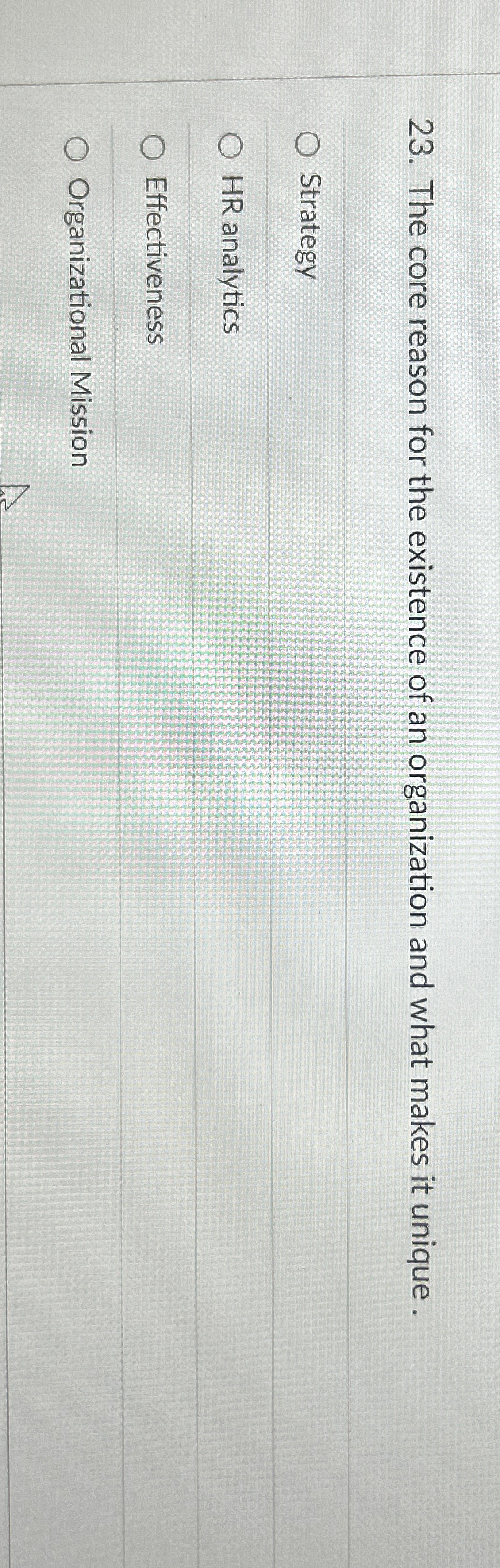 Solved The core reason for the existence of an organization | Chegg.com