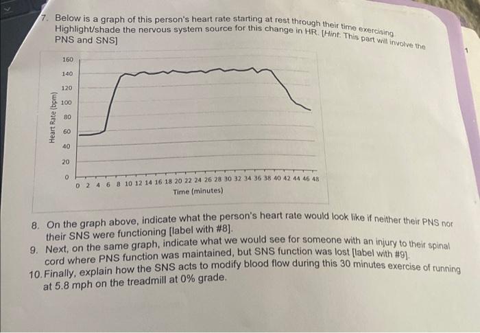 Solved 7. Below is a graph of this person's heart rate | Chegg.com