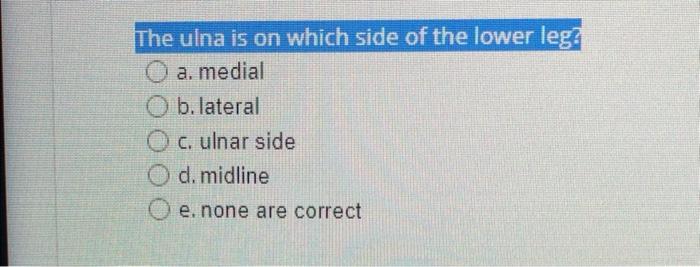 Solved The ulna is on which side of the lower leg? a. medial | Chegg.com