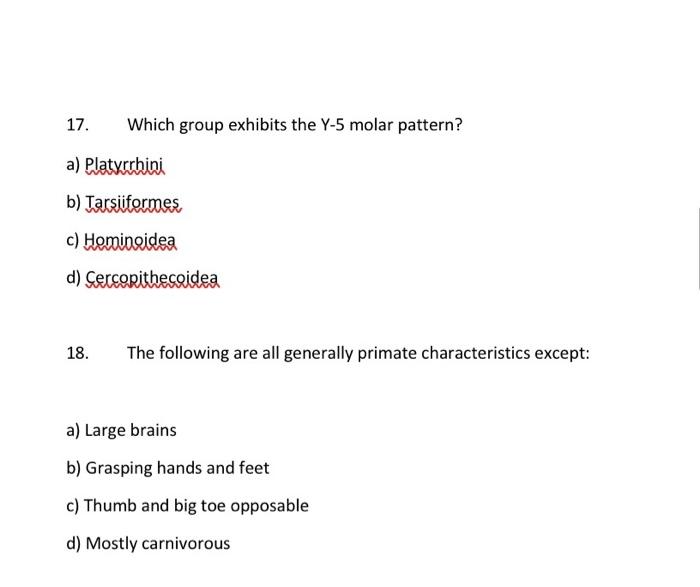 Solved 17. Which group exhibits the Y5 molar pattern? a)