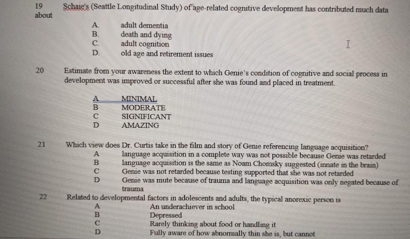 Schaie hotsell cognitive development