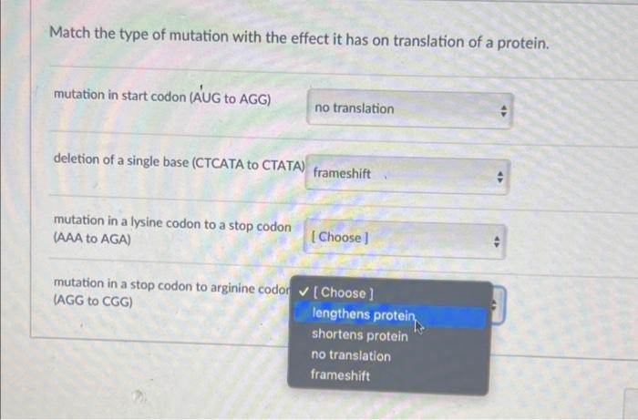 Solved Match the type of mutation with the effect it has on | Chegg.com