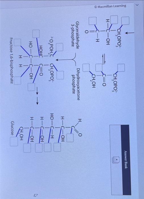 An investigator briefly incubates a liver extract