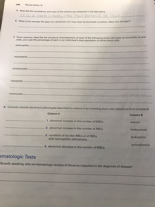 solved-review-sheet-19-6-describe-the-consistency-and-color-chegg