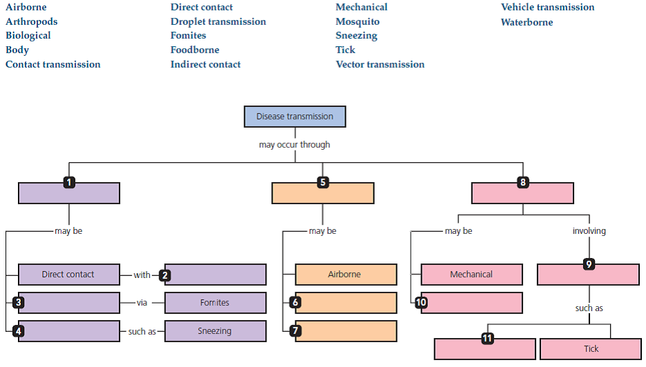 Types Of Disease Transmission Concept Map Answers Solved: Using the following terms, fill in the following concep 