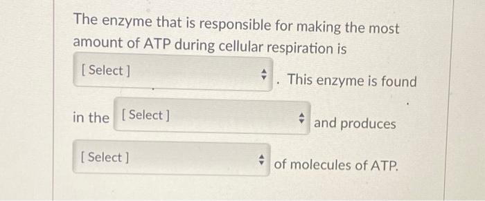 The Enzyme That Fuels Life How It Makes Atp - s7ex36k