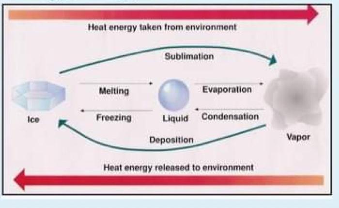 Solved Heat energy taken from environment Sublimation | Chegg.com