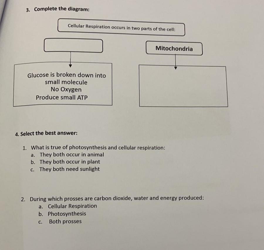 Solved 3. Complete the diagram: Cellular Respiration occurs | Chegg.com