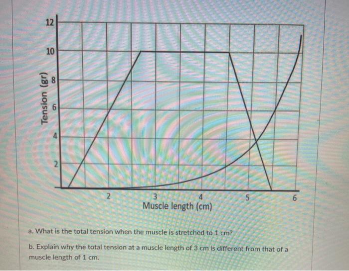 Solved 12 10 Tension (gr) 2 5 3 4 Muscle length (cm) a. What | Chegg.com