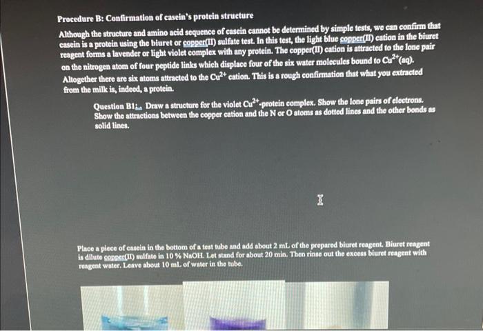 Solved Procedure B: Confirmation of casein's protein | Chegg.com