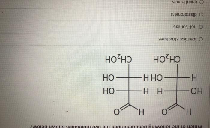 Solved Which of the following best describes the two | Chegg.com