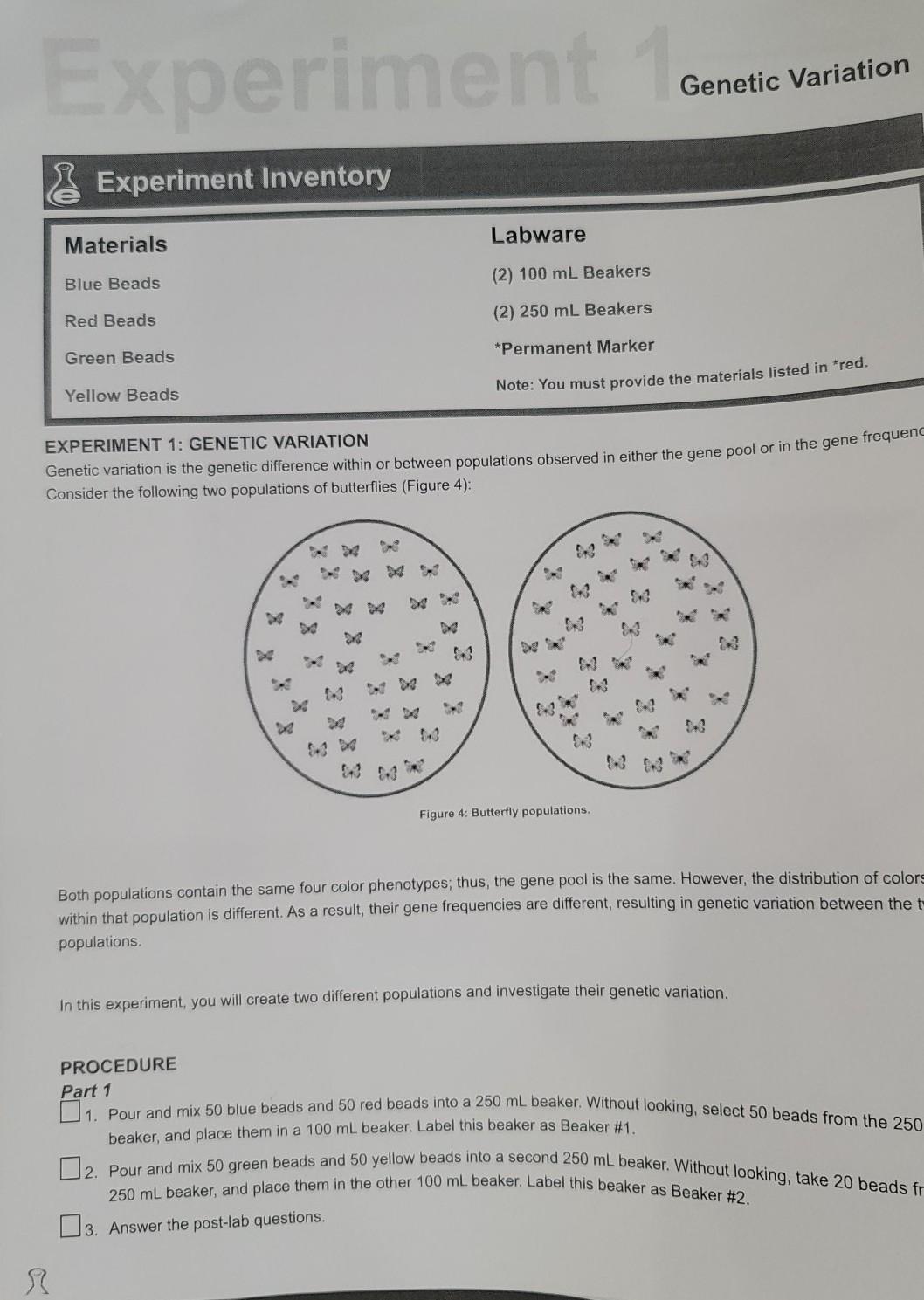 experiment 1 genetic variation post lab questions