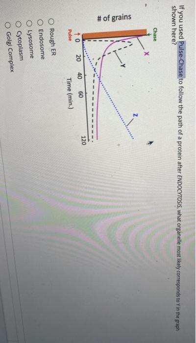Solved If you used Pulse-Chase to follow the path of a | Chegg.com