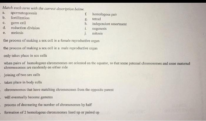 Solved Match Each Term With The Correct Description Below