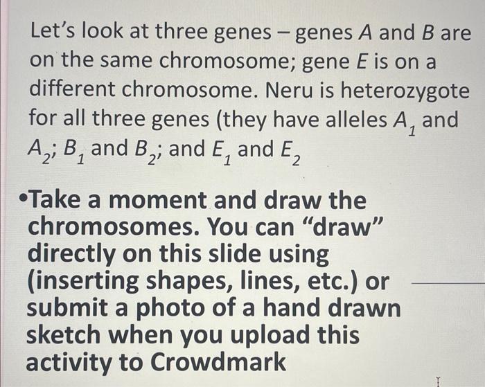 Solved Let's Look At Three Genes - Genes A And B Are On The | Chegg.com