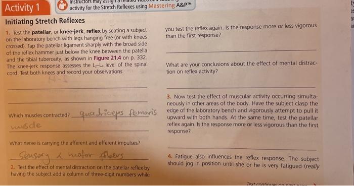 Solved Instructors may Activity 1 activity for the Stretch | Chegg.com