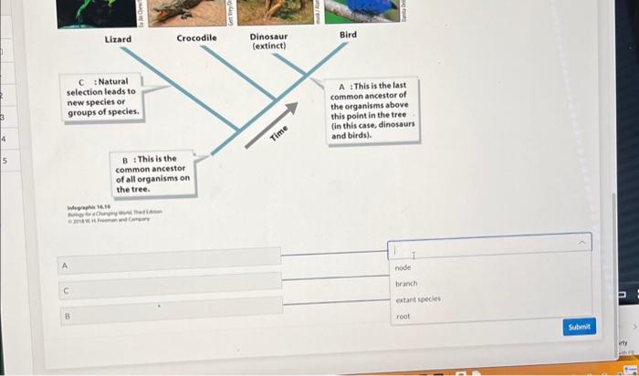 Solved Match the correct label to locations \\( A, B \\) and | Chegg.com