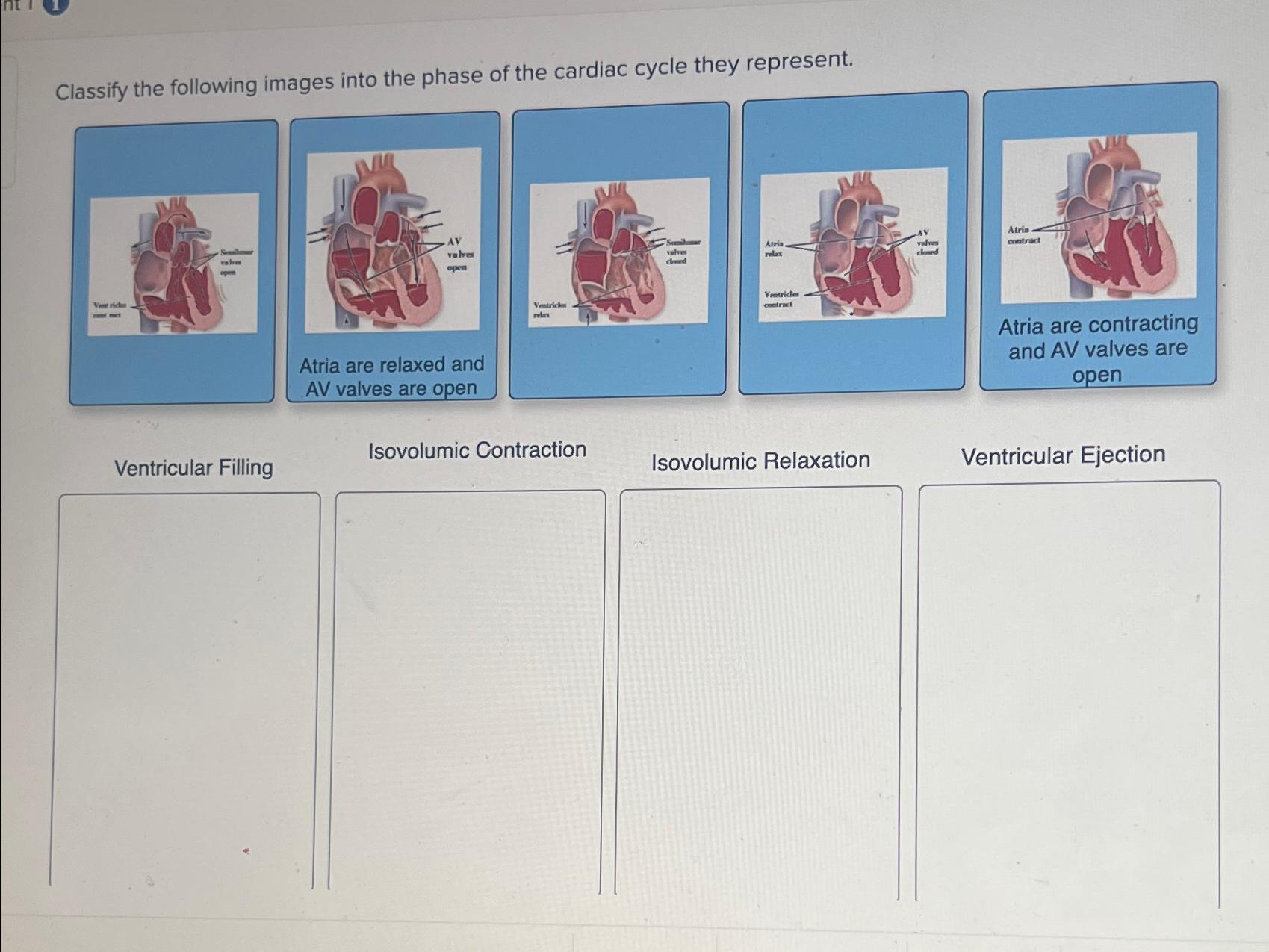 Solved Classify the following images into the phase of the | Chegg.com