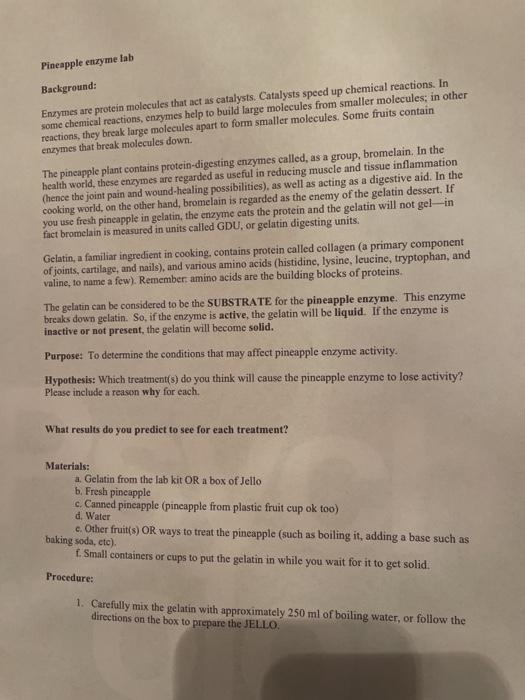 Solved Pineapple enzyme lab Background Enzymes are protein