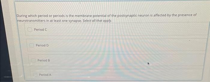 Solved During Which Period Or Periods Is The Membrane | Chegg.com