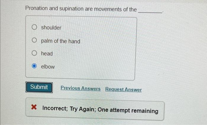 Solved Pronation and supination are movements of the | Chegg.com