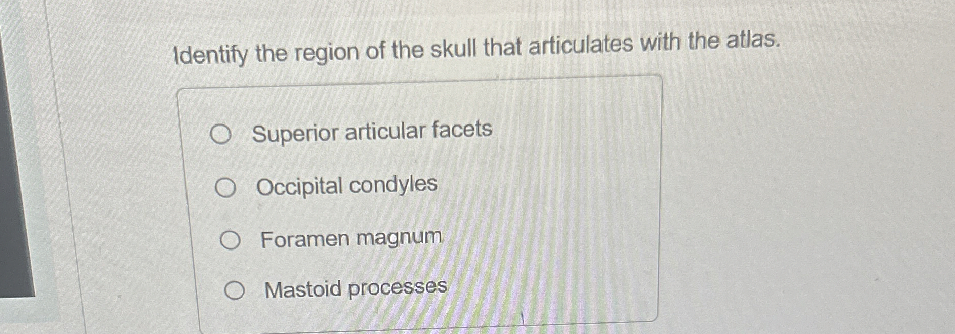 Solved Identify the region of the skull that articulates | Chegg.com