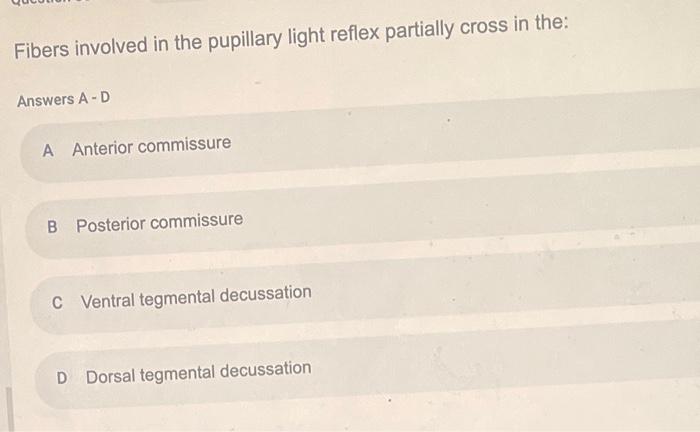 Solved Fibers involved in the pupillary light reflex | Chegg.com