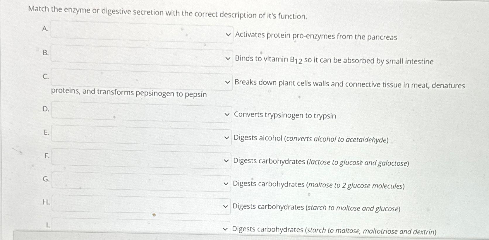 Solved Match the enzyme or digestive secretion with the | Chegg.com