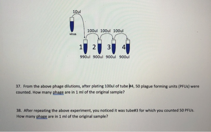 Solved 10ul 100ul 100ul 100ul 17 27 37 47 990ul 900ul 900ul | Chegg.com