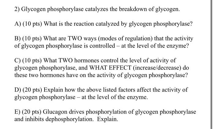 Solved 2) Glycogen phosphorylase catalyzes the breakdown of | Chegg.com