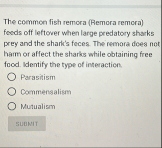 Solved The common fish remora (Remora remora) ﻿feeds off | Chegg.com