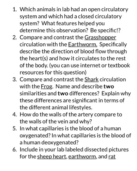1. Which animals in lab had an open circulatory system and which had a closed circulatory system? What features helped you de