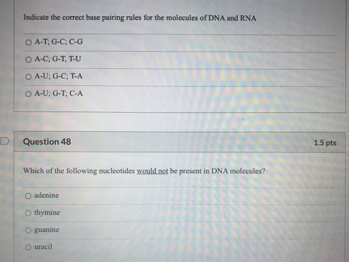 What Are The Correct Base Pairing Rules For Dna