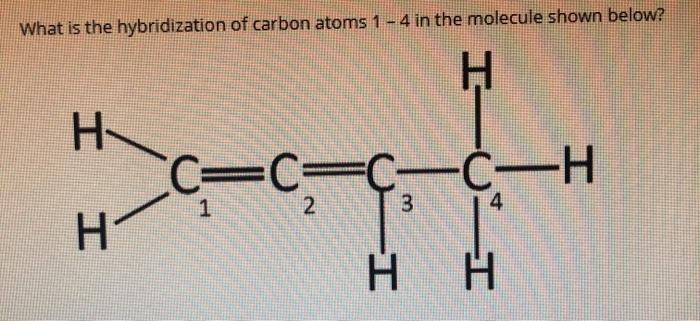 Solved What is the hybridization of carbon atoms 1 - 4 in | Chegg.com