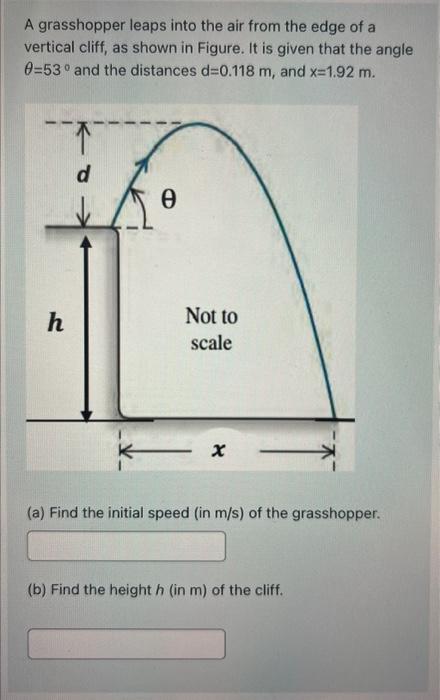 Solved A Grasshopper Leaps Into The Air From The Edge Of A | Chegg.com