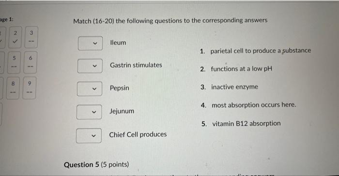 Solved 2. Match (6-10) the following questions to the | Chegg.com