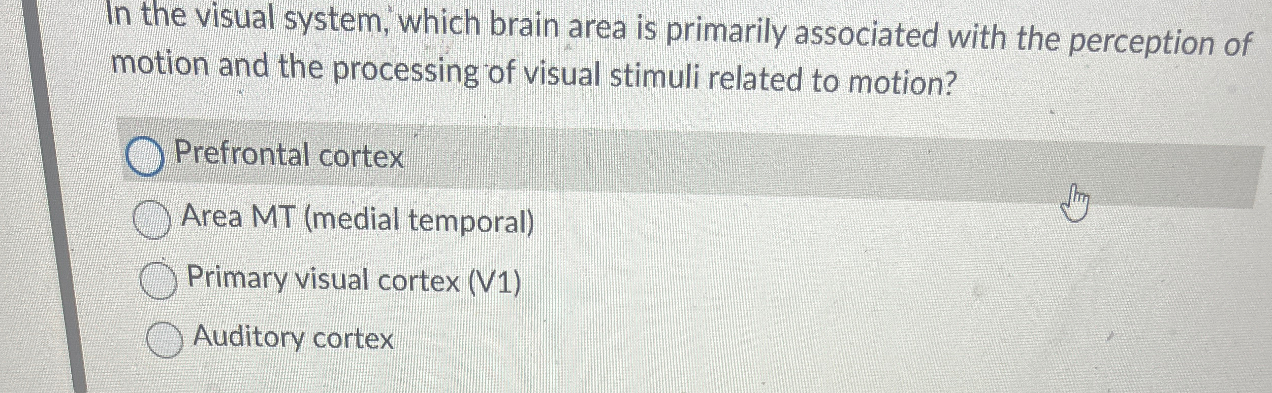 Solved In the visual system, which brain area is primarily | Chegg.com