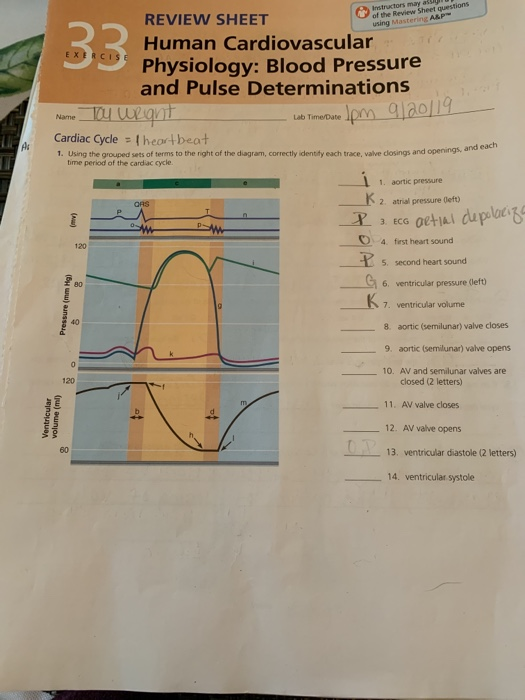 Solved 406 Review Sheet 27 7. The Table Below Lists The F...